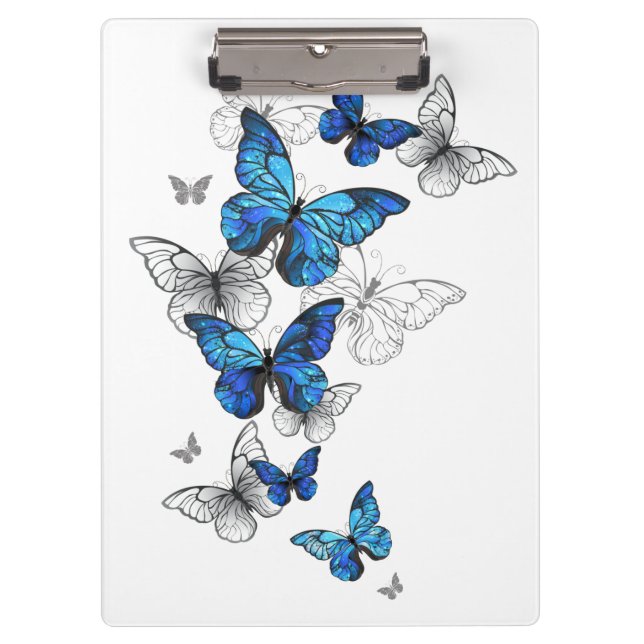 Blue Flying Butterflies Morpho Clipboard (Front)