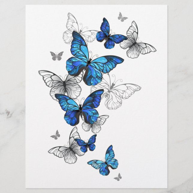 Blue Flying Butterflies Morpho Flyer (Front)