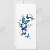 Blue Flying Butterflies Morpho
