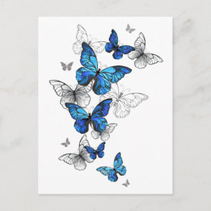 Blue Flying Butterflies Morpho Holiday Postcard