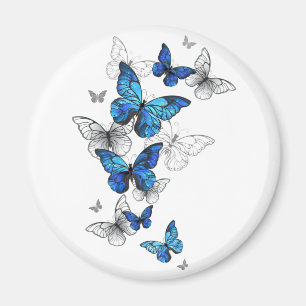 Blue Flying Butterflies Morpho Magnet