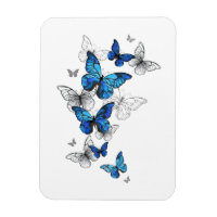 Blue Flying Butterflies Morpho