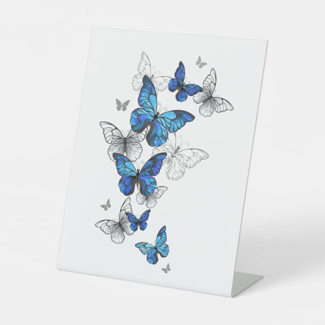 Blue Flying Butterflies Morpho Pedestal Sign (Front)