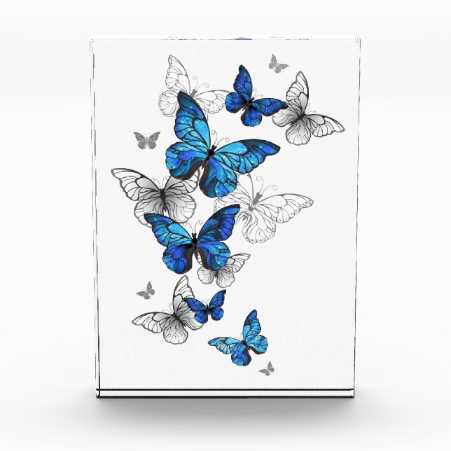 Blue Flying Butterflies Morpho Photo Block (Front)