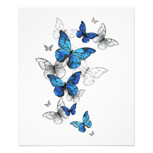 Blue Flying Butterflies Morpho Photo Print
