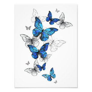 Blue Flying Butterflies Morpho Photo Print