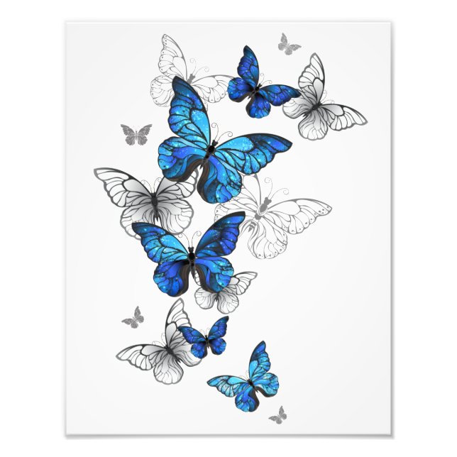 Blue Flying Butterflies Morpho Photo Print (Front)