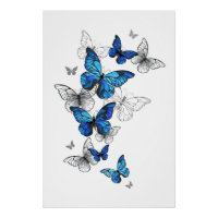 Blue Flying Butterflies Morpho