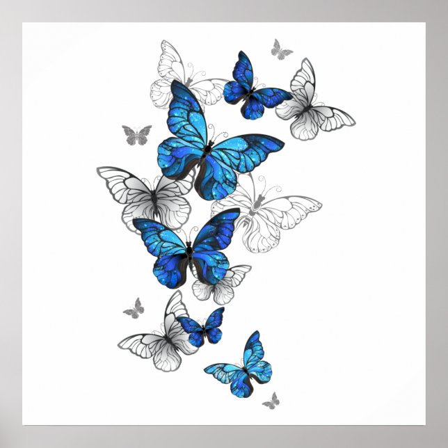 Blue Flying Butterflies Morpho Poster (Front)
