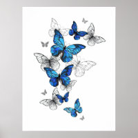 Blue Flying Butterflies Morpho