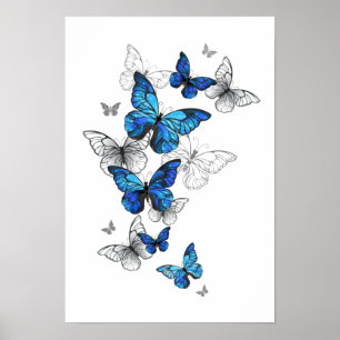 Blue Flying Butterflies Morpho Poster