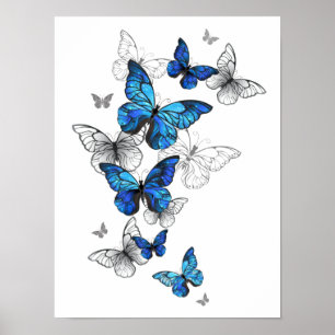 Blue Flying Butterflies Morpho Poster