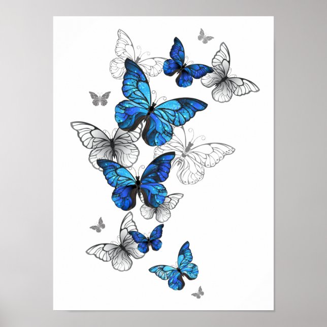 Blue Flying Butterflies Morpho Poster (Front)
