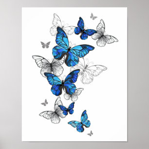 Blue Flying Butterflies Morpho Poster