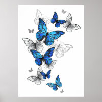 Blue Flying Butterflies Morpho