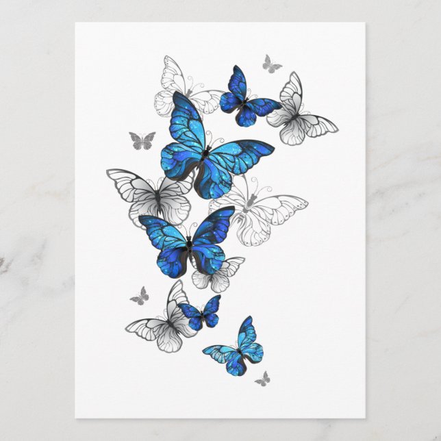 Blue Flying Butterflies Morpho Programme (Front)