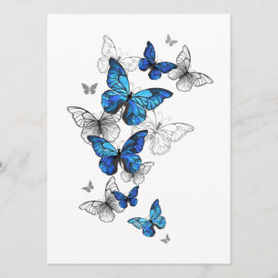 Blue Flying Butterflies Morpho Programme