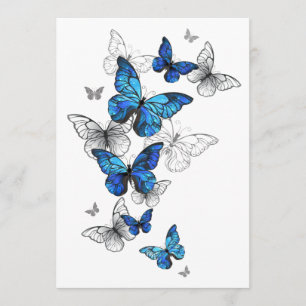 Blue Flying Butterflies Morpho Programme