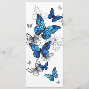 Blue Flying Butterflies Morpho Programme