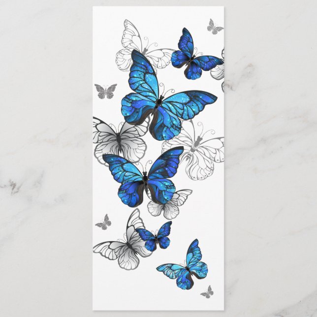 Blue Flying Butterflies Morpho Programme (Front)