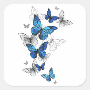 Blue Flying Butterflies Morpho Square Sticker
