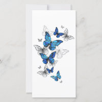 Blue Flying Butterflies Morpho