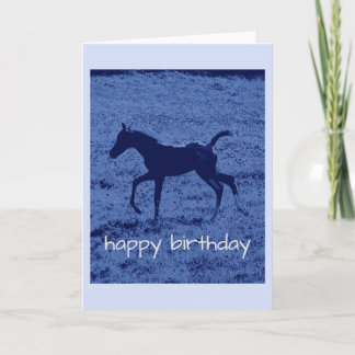 Blue foal Birthday Card
