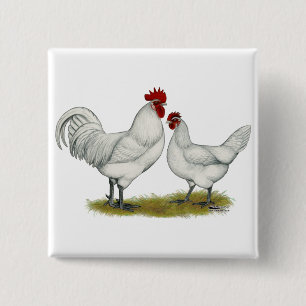 Blue Foot Chickens 15 Cm Square Badge