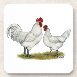 Blue Foot Chickens Coaster