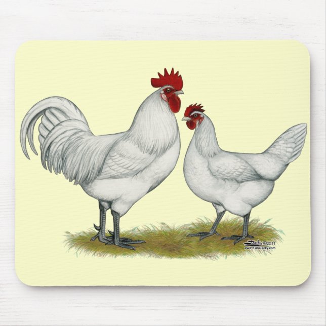 Blue Foot Chickens Mouse Mat (Front)