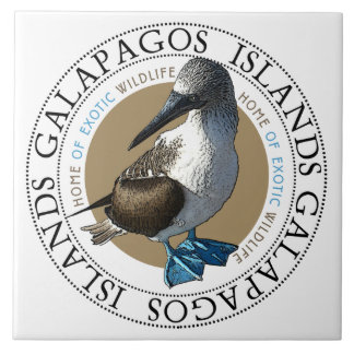 Blue Footed Bird Galapagos Islands Classic Round  Tile