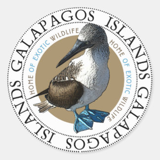Blue Footed Booby Galapagos Islands Classic Round Sticker