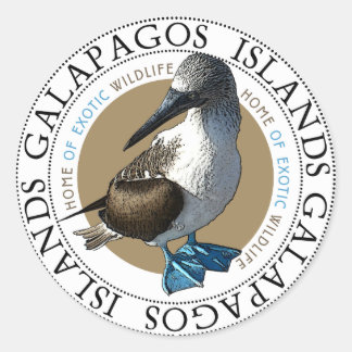 Blue Footed Booby Galapagos Islands Souvenir Classic Round Sticker