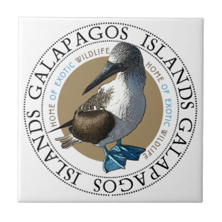 Blue Footed Booby tile