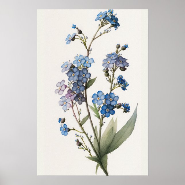 Blue Forget Me Nots Flower Art Print Poster (Front)
