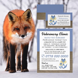 Blue Fox, Veterinarian, Veterinary Service Flyer