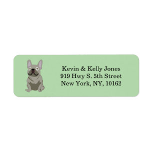 Blue French bulldog
