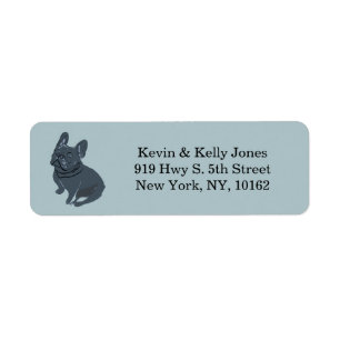 Blue, French bulldog