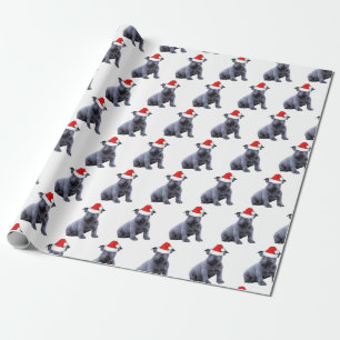 Blue Frenchie Bulldog Santa Hat Wrapping Paper