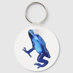 blue frog copy key ring