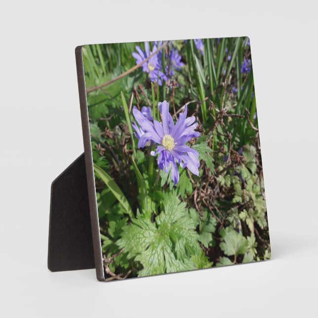 Blue garden flower plaque (Front)