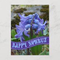 Blue Garden Hyacinth Iranian New Year Nowrooz