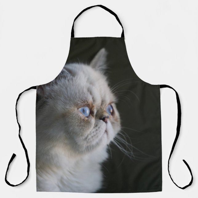 BLUE GAZE APRON (Front)