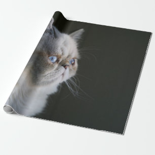 BLUE GAZE WRAPPING PAPER
