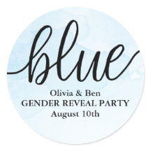 Blue Gender Reveal Baby Shower