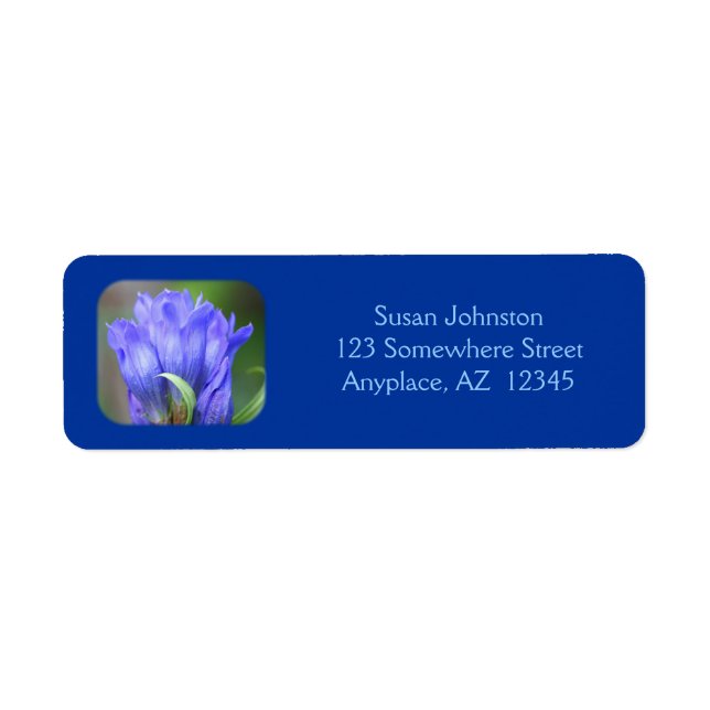 Blue Gentian Flower Address (Front)