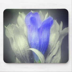 Blue Gentian Flower Black And White Mouse Mat