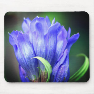 Blue Gentian Flower Mouse Mat