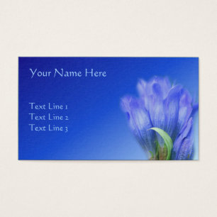 Blue Gentian Flower Nature