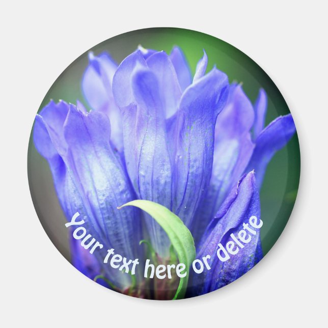Blue Gentian Flower Personalized Magnet (Front)